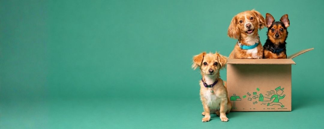 Adopción